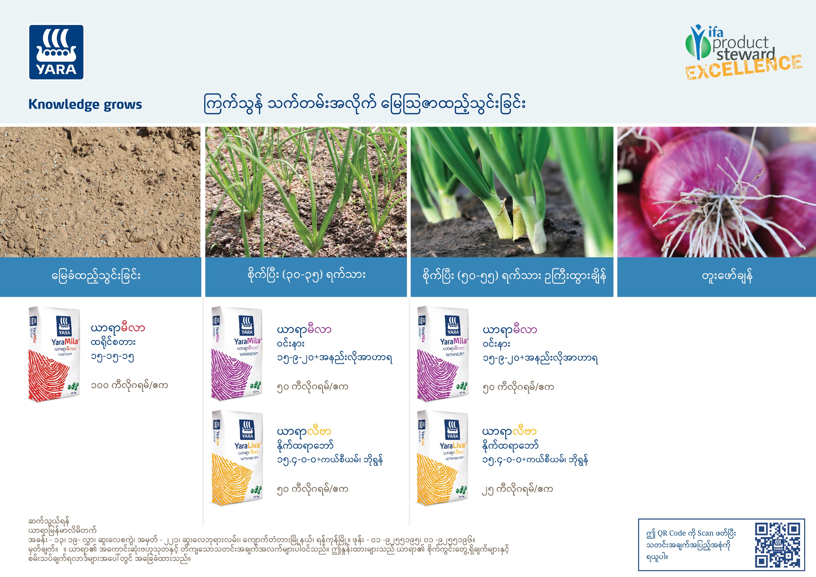 Onion Fertilizer Program